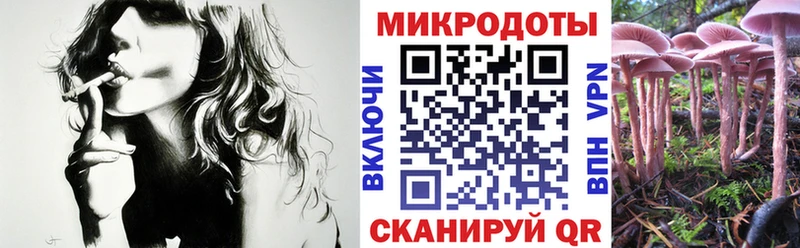 Псилоцибиновые грибы мицелий Инза